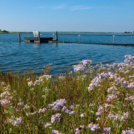 Gaude Tiet Insel Poel