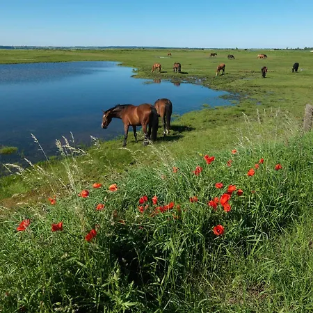 Gaude Tiet * Insel Poel