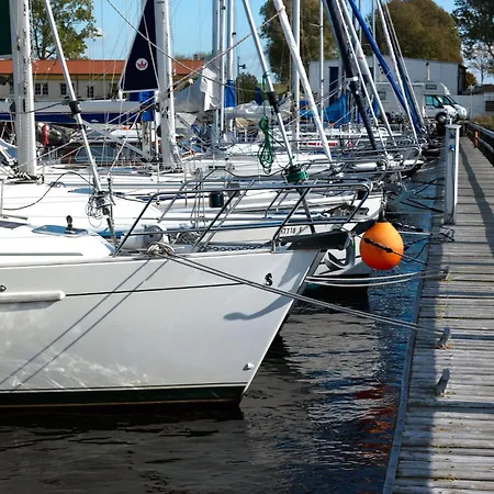 Gaude Tiet إنسيل بويل